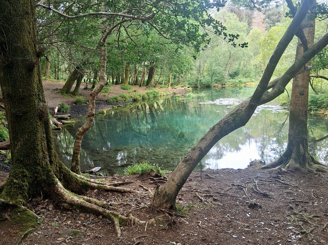 Cloghereen Blue Pool Walk-基拉尼必去景点