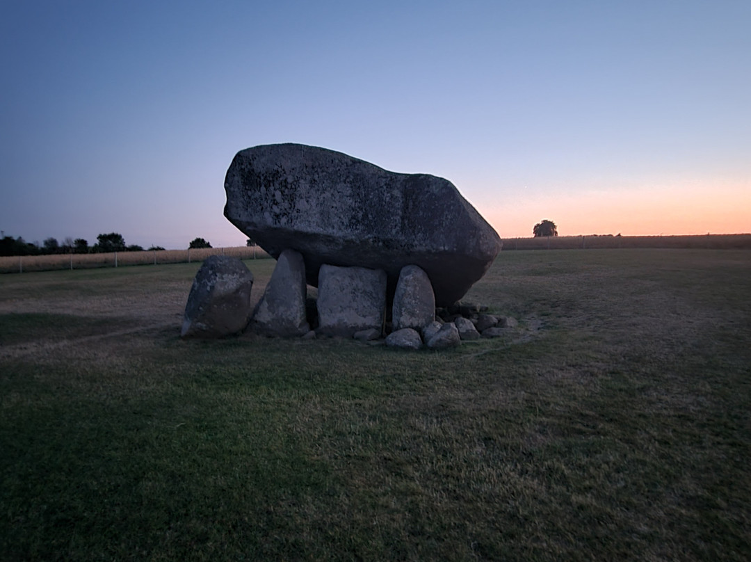 Brownshill Dolmen-Carlow必去景点