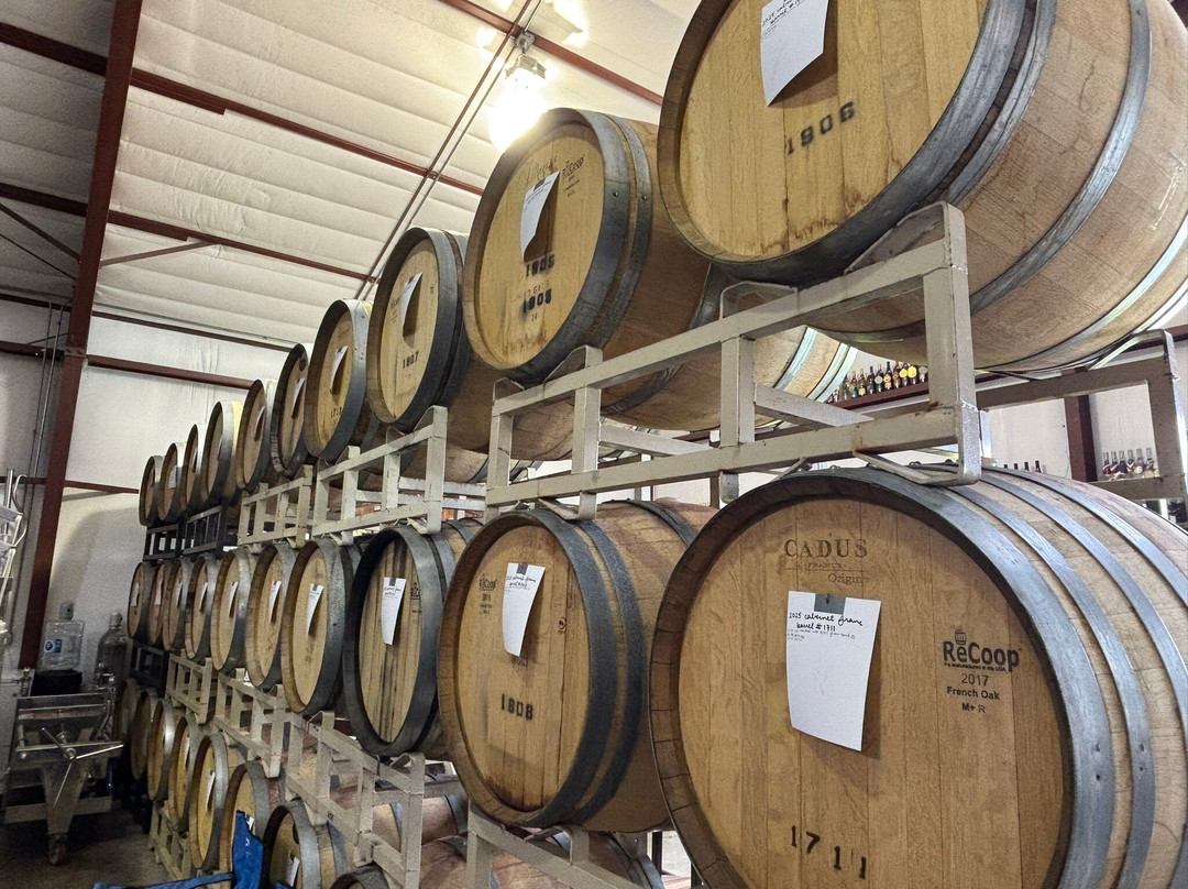 Whitewater Hill Vineyards-大章克申必去景点