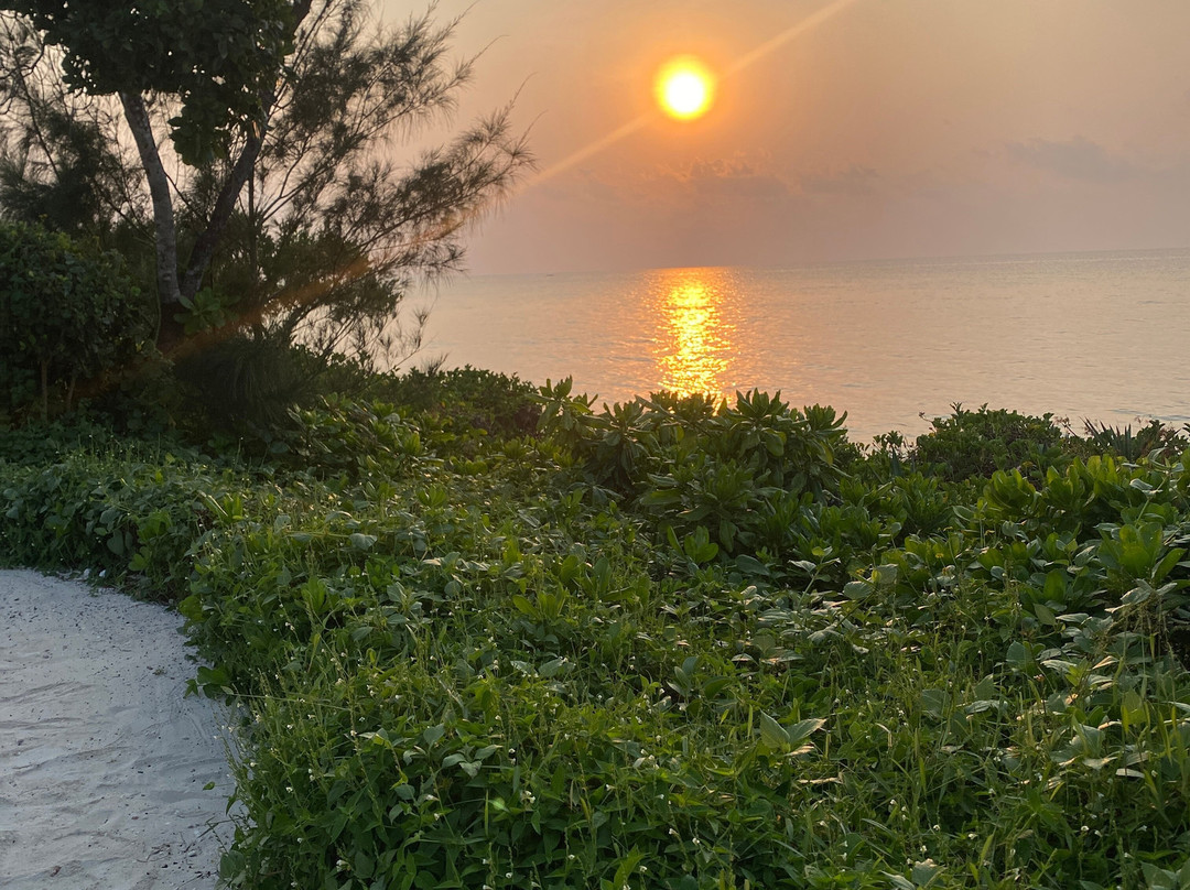 Suley Taxi Driver Zanzibar and Tours-孥归必去景点