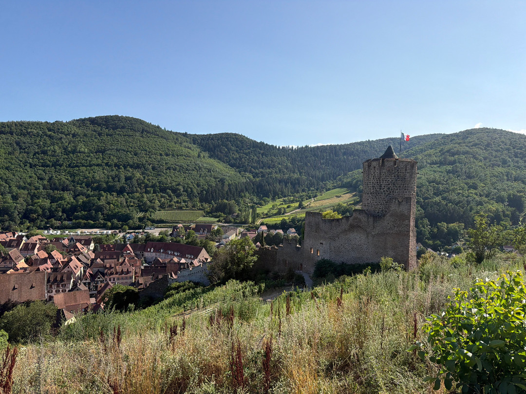 Château de Kaysersberg-凯瑟斯堡必去景点