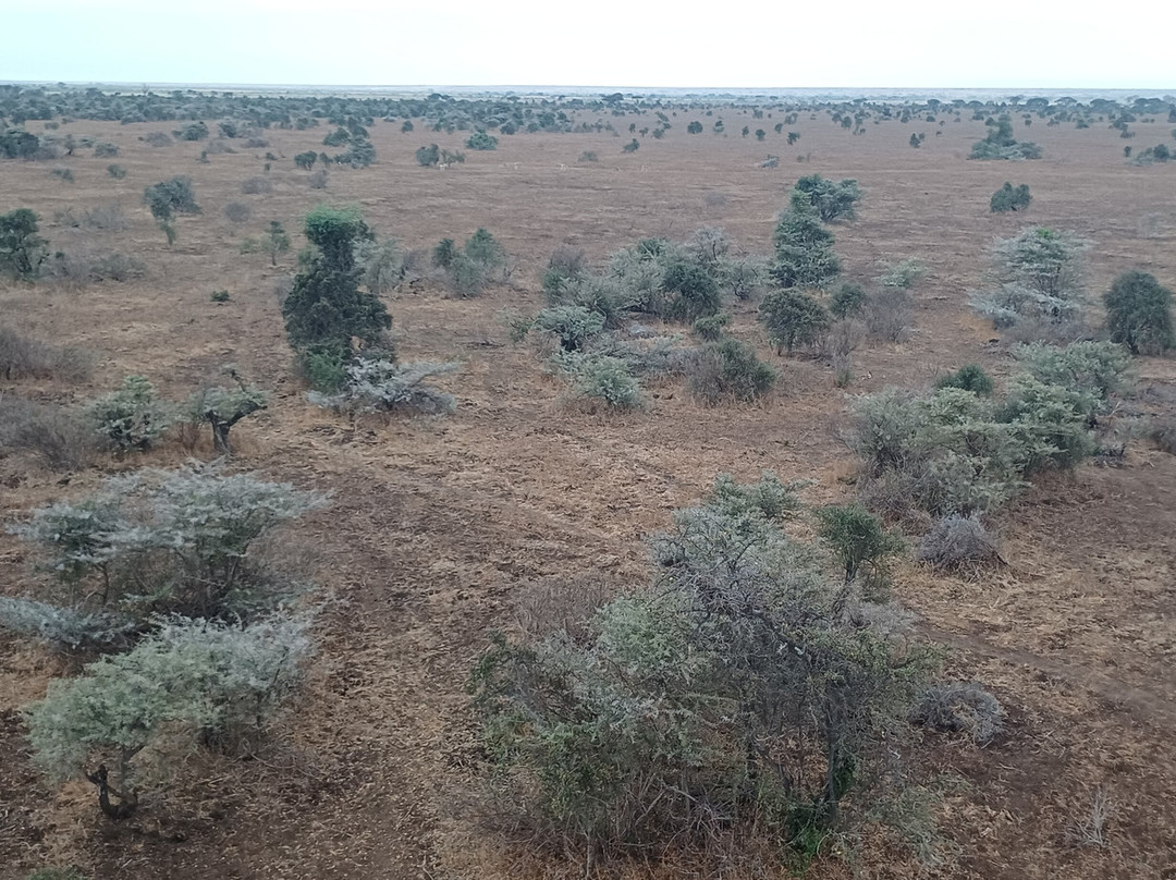 Kilimanjaro Balloon Safaris-安博塞利国家公园必去景点