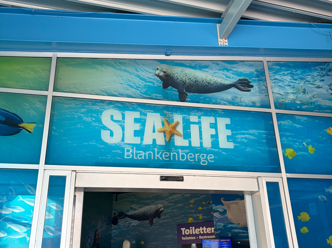 Sea Life Blankenberge-布朗肯堡必去景点