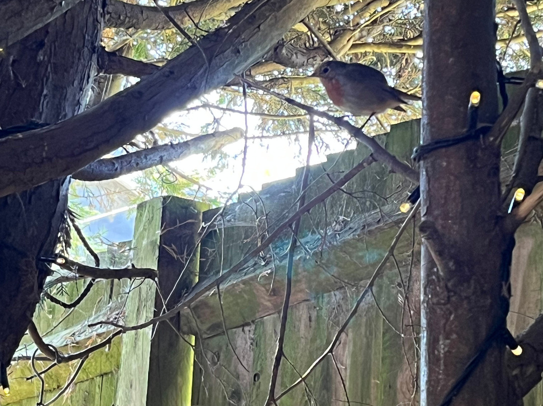 鸭子小屋家庭旅馆主图