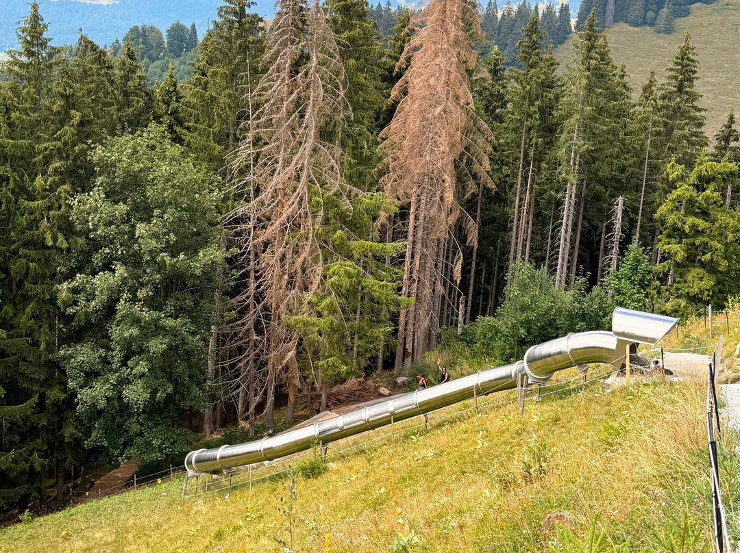 Sentier des Toboggans-Charmey必去景点