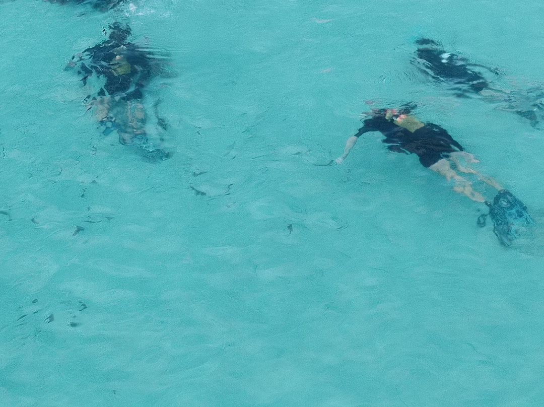 Acqua Life Dive Center-Calas de Majorca必去景点