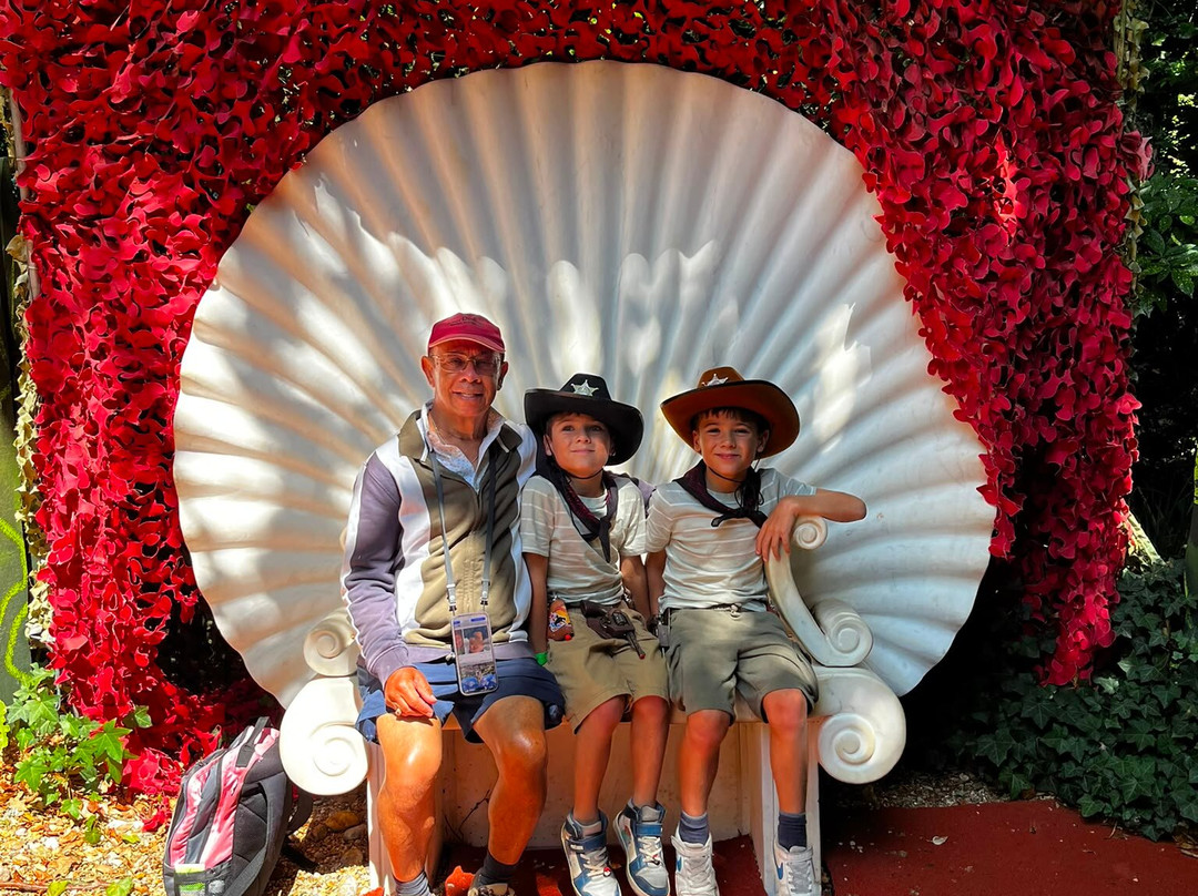 Robin Hill Adventure Park-纽波特必去景点