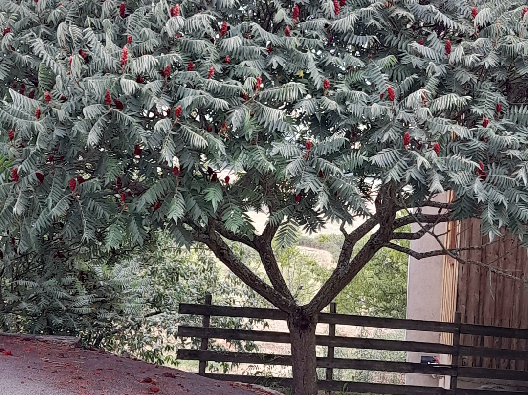 马尔哥特旅馆主图