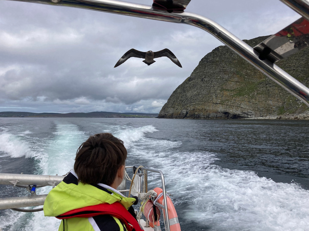 Shetland Seabird Tours - The Noss Boat-Lerwick必去景点