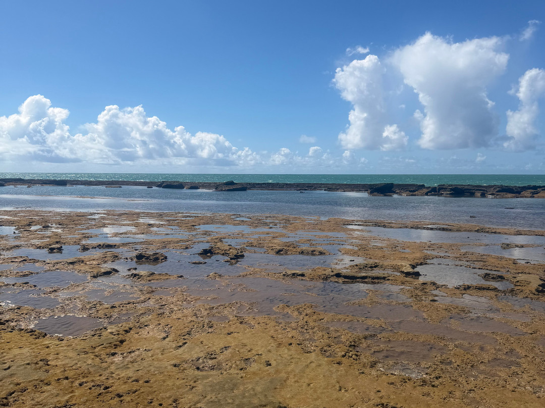 Piscinas Naturais De Pajucara-Maceio必去景点