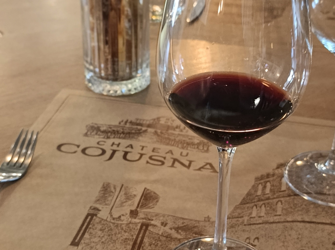 Chateau Cojusna-Straseni必去景点