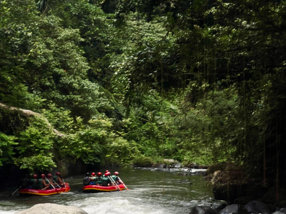 Ubud Quad Bike Adventure-乌布必去景点