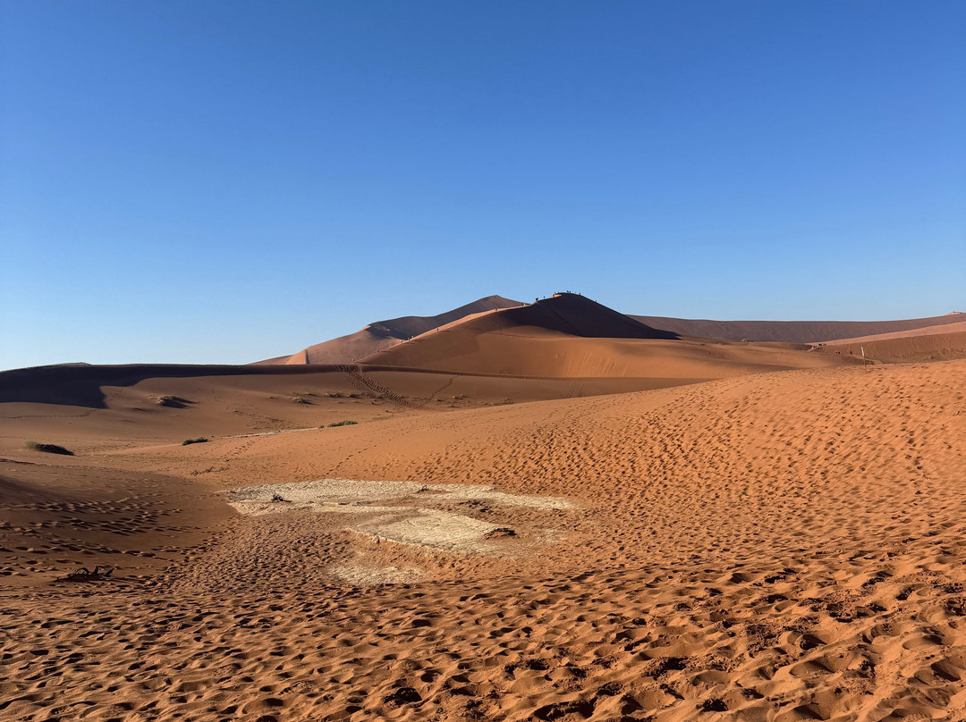 Deadvlei-苏丝斯黎必去景点