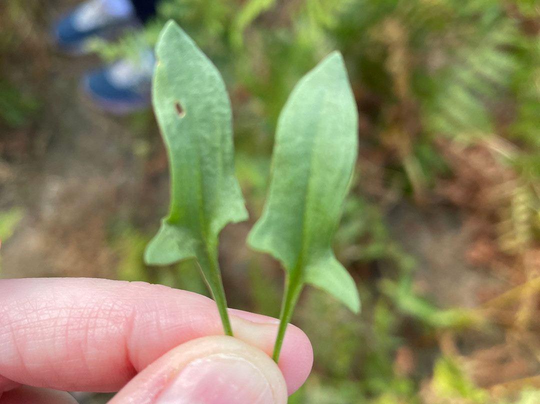 Wild Food Uk-Byford必去景点