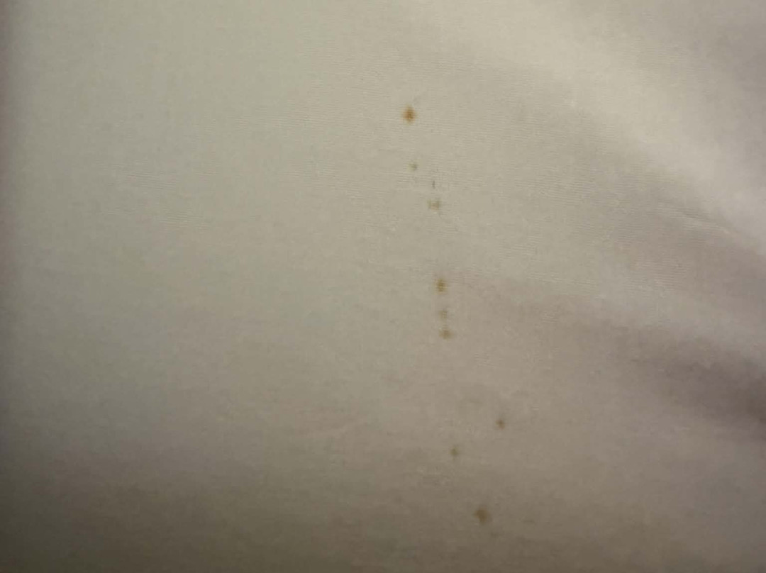 艾登北索勒酒店主图