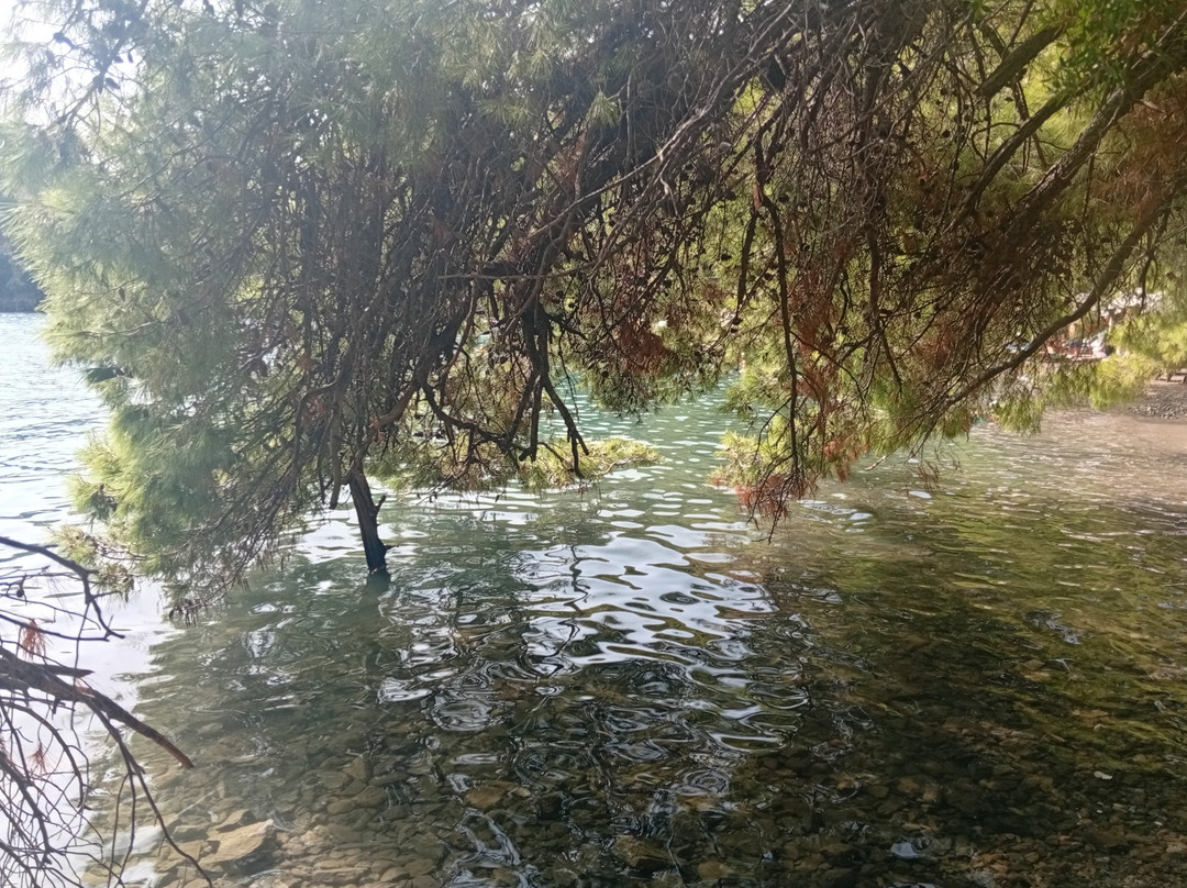 Love Bay-波罗斯必去景点
