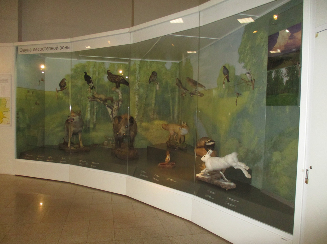 State History Museum of South Ural-车里雅宾斯克必去景点