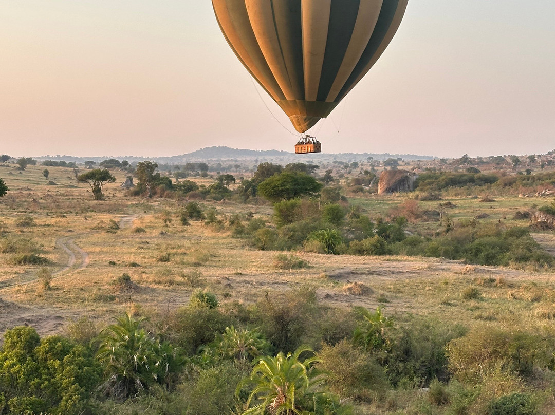 Serengeti Balloon Safaris-塞伦盖蒂国家公园必去景点