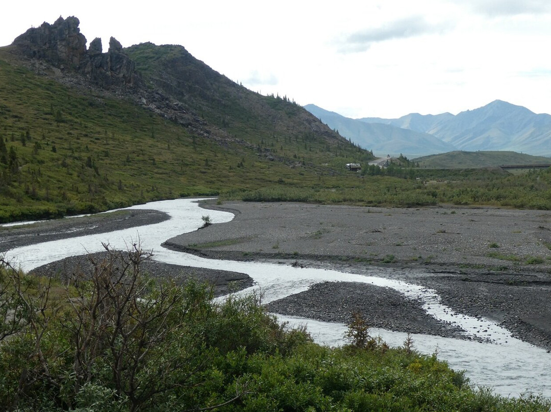 Denali National Park-阿拉斯加必去景点
