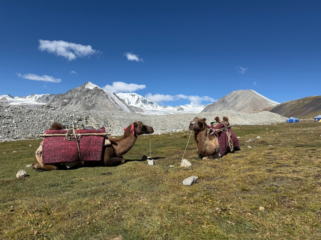 Altai Nomads Travel-Olgiy必去景点