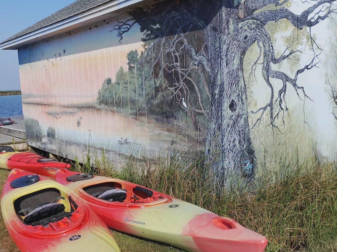 Coastal Kayak Touring Company-Duck必去景点