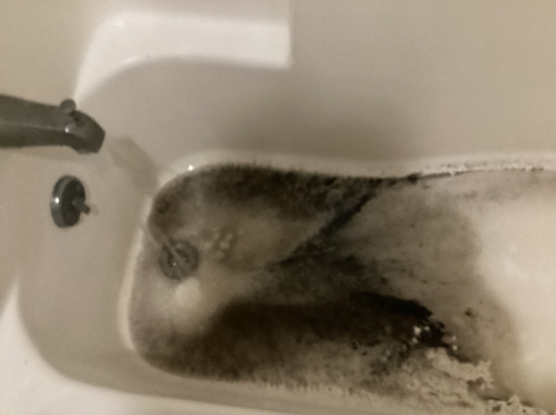 隐密湖滨度假村主图