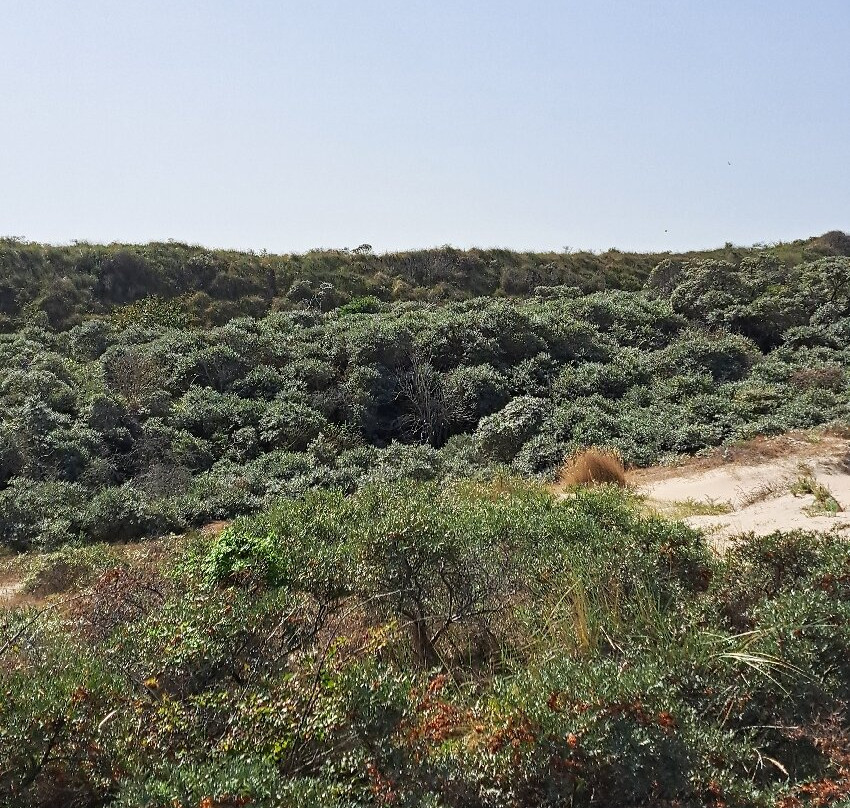 Cap d’Agde Naturist Village-Cap-d'Agde必去景点