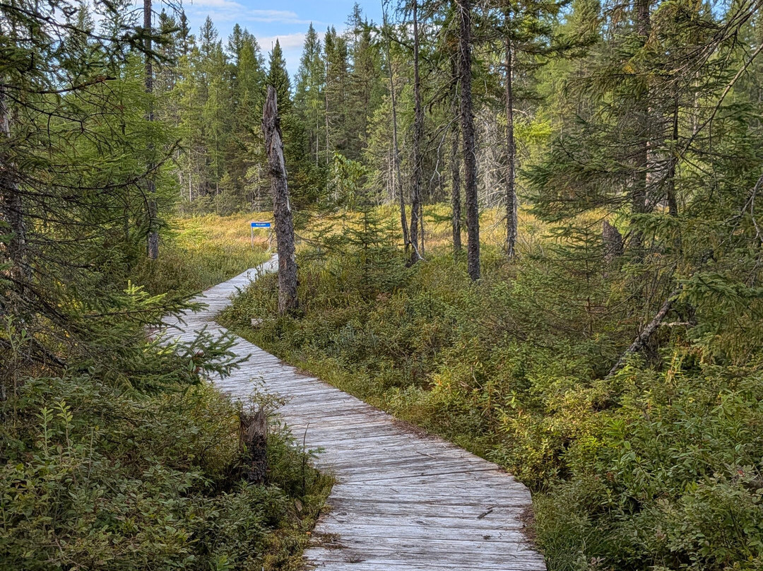 Sentier Pédestre Boisé Joseph BB Gauthier-Lac-Saguay必去景点