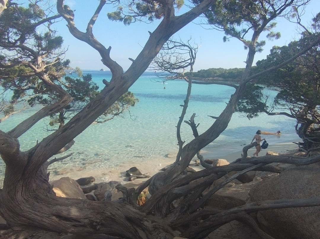 Spiaggia del Pevero-切尔沃港必去景点