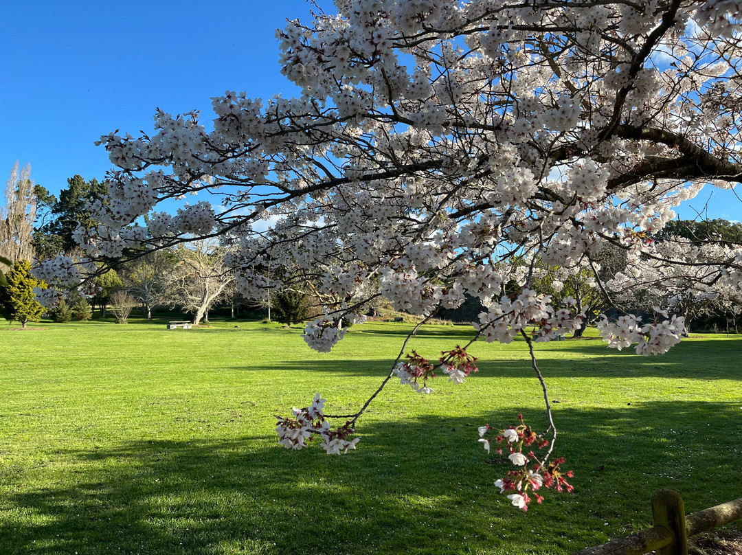 Swannanoa旅游景点-Halswell Quarry Park