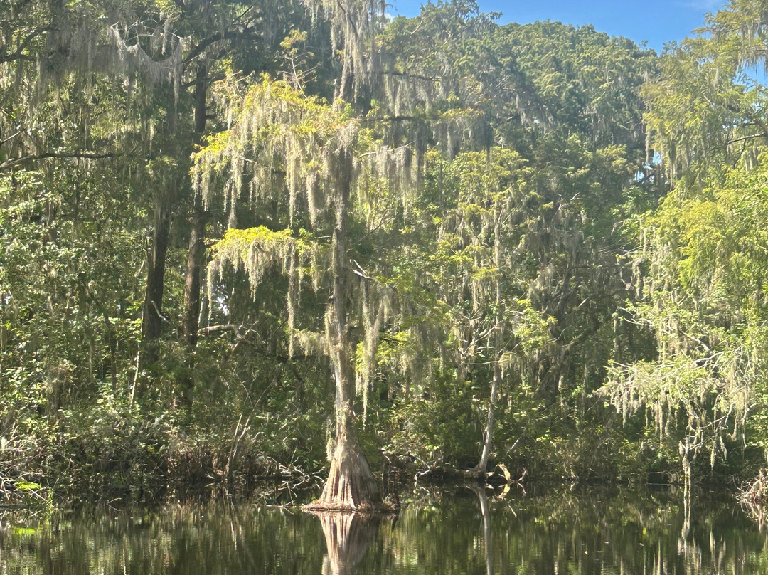 Swamp Fever Airboat Adventures-Lake Panasoffkee必去景点