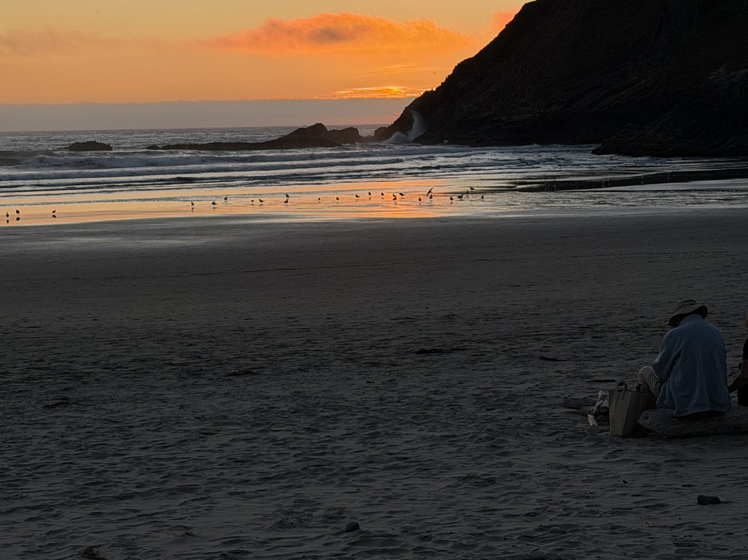 Ecola State Park-坎农比奇必去景点