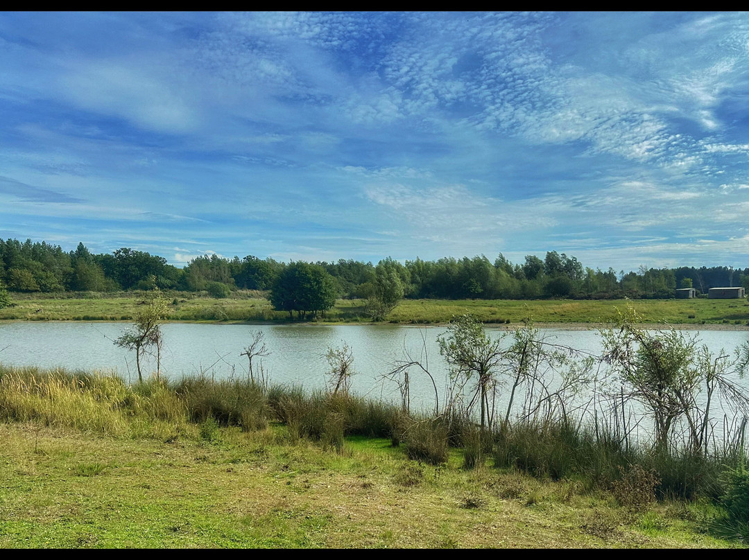 Watatunga Wildlife Reserve-金斯林必去景点