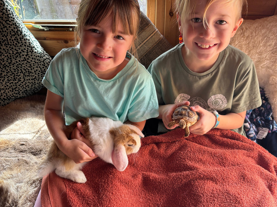 Nanny Sharon's Alpaca Farm C.I.C-Prenton必去景点