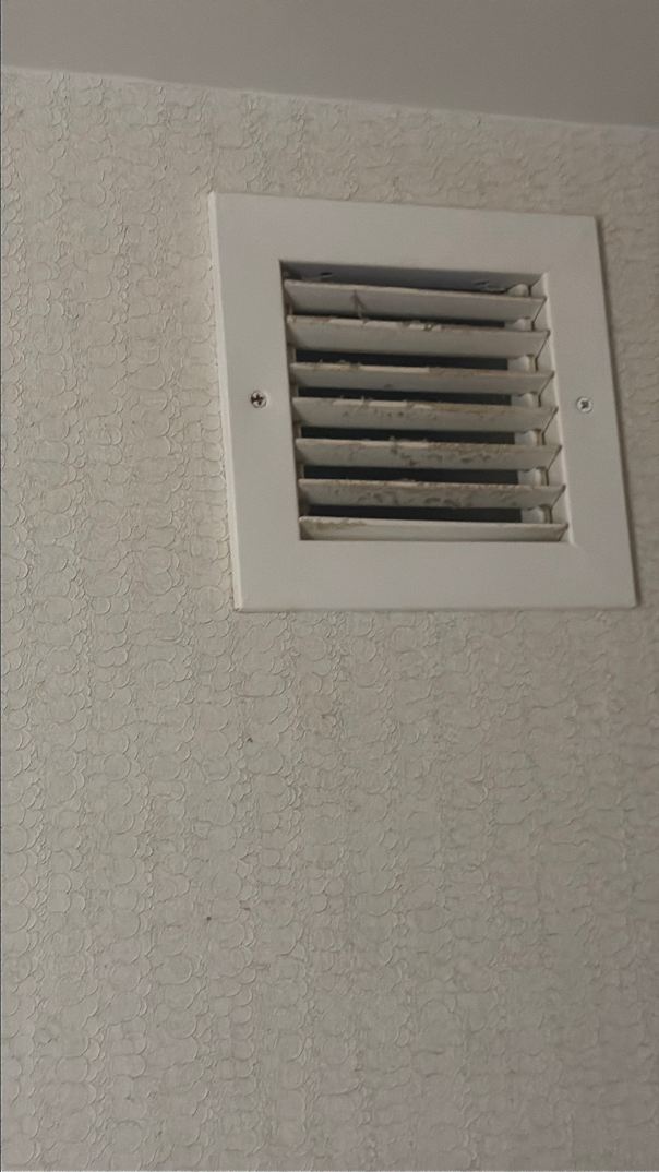 热带大西洋城酒店 - 凯撒奖励计划目的地-旅行者