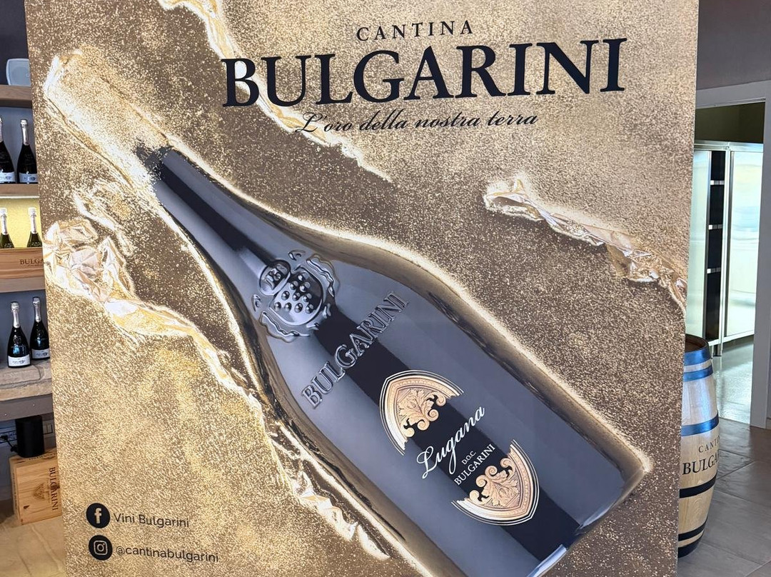 Azienda Agricola Bulgarini - Cantina Bulgarini