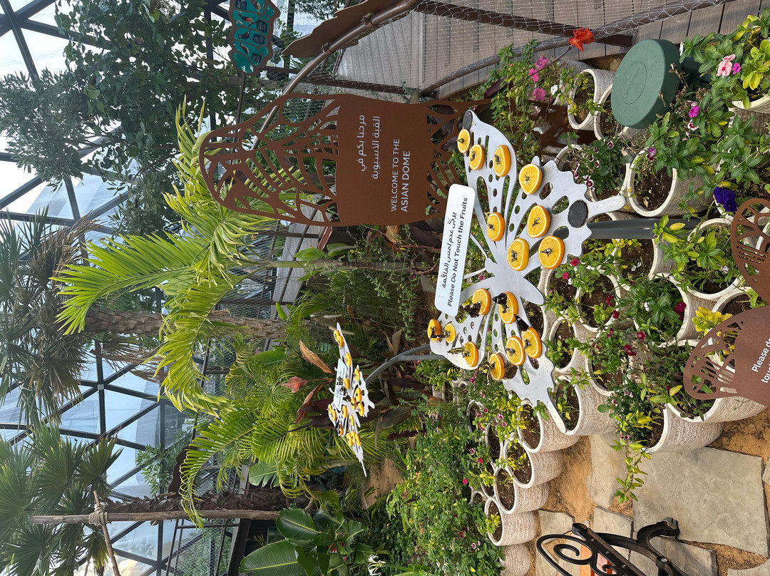 The Butterfly Gardens Abu Dhabi-阿布扎比必去景点