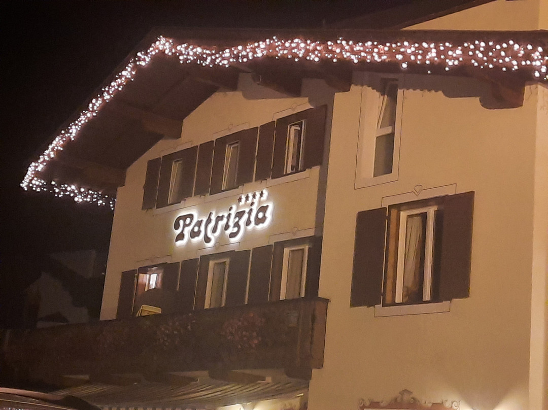 Hotel Patrizia Dolomites Glamour主图