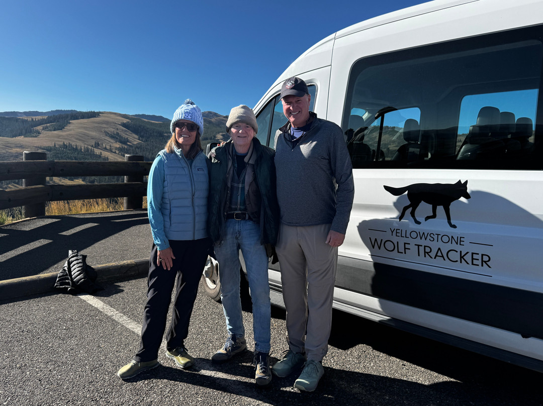 Yellowstone Wolf Tracker-加德纳必去景点