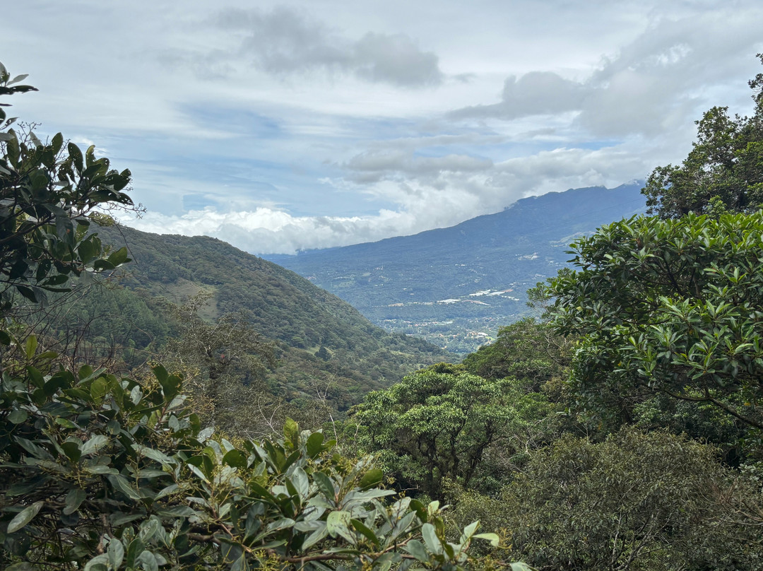 Tree Trek Boquete-波魁特必去景点