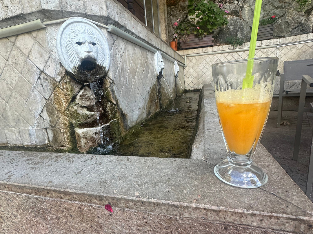 The Lion Fountains-Spili必去景点