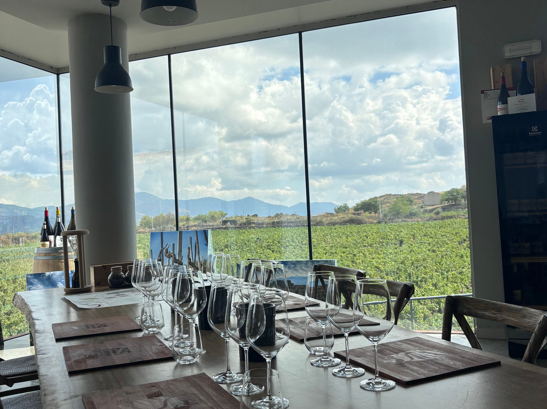 Wine tasting at I Custodi delle Vigne dell'Etna-Solicchiata必去景点