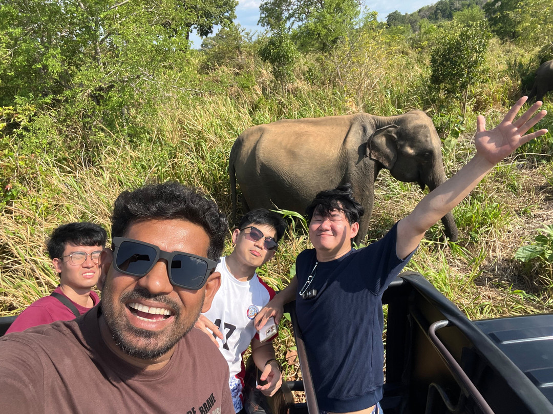 Private Tour Guide in Sri Lanka-科伦坡必去景点