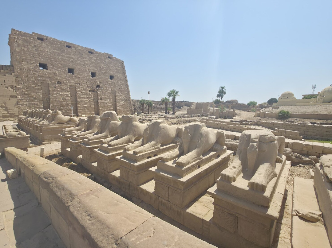 Hurghada Ausflug-艾高娜必去景点