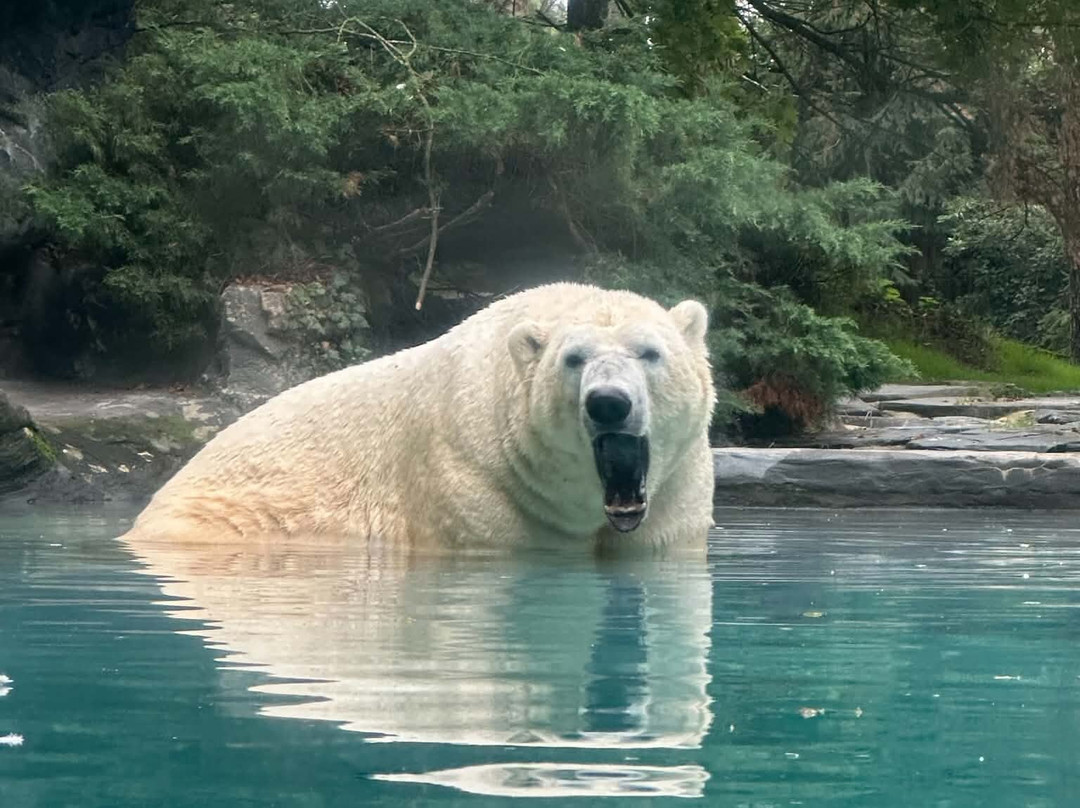 Zoo de La Fleche-La Fleche必去景点