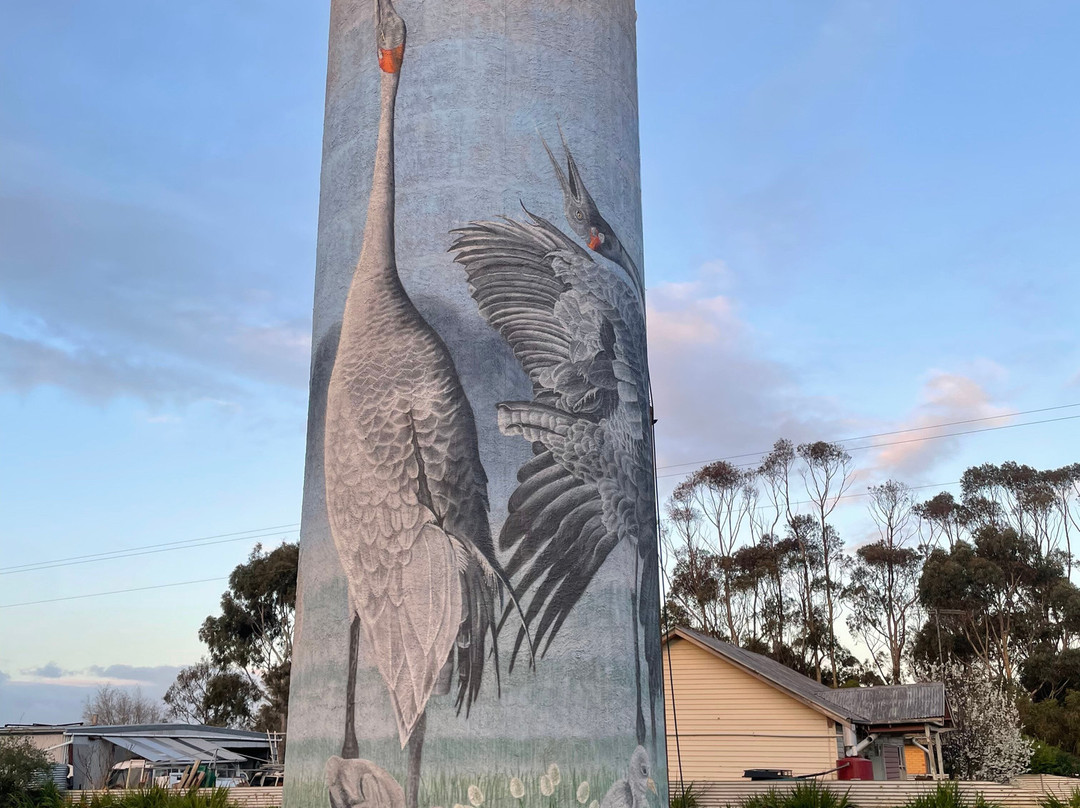 Lismore Water Tower Art-Lismore必去景点