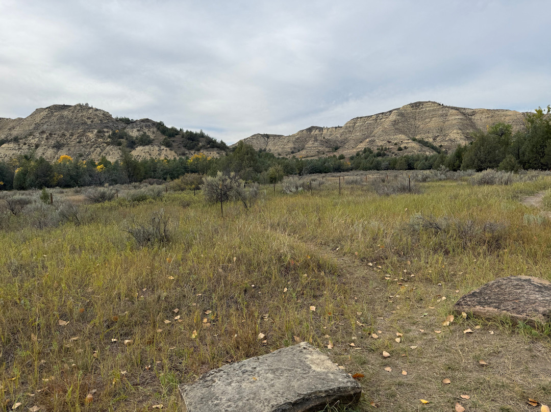 Elkhorn Ranch Site-Theodore Roosevelt National Park必去景点