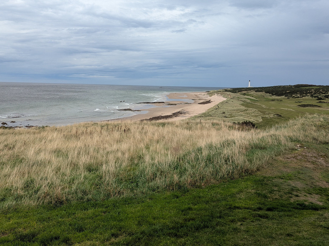 Covesea Links Golf Course-Duffus必去景点