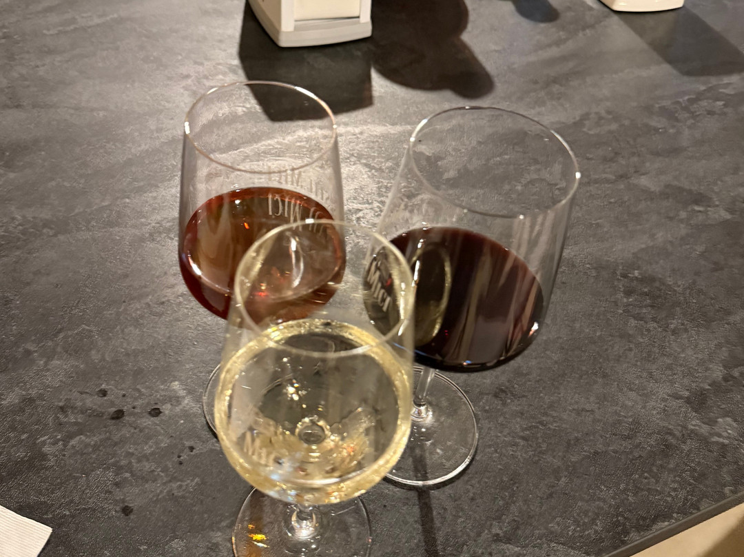 Mileștii Mici Winery-Milestii Mici必去景点