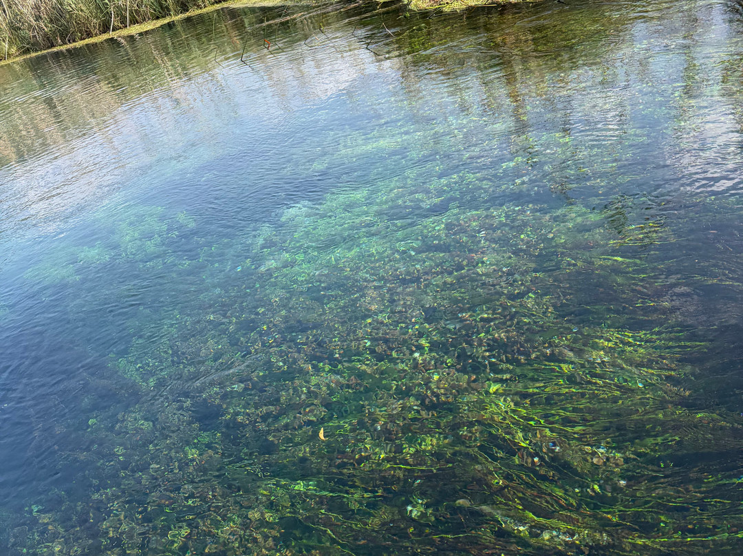 Akyaka River Romp-Akyaka必去景点